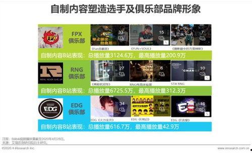 黑货市场最新爆料视频,最新爆料视频曝光惊人内幕 第2张 黑货市场最新爆料视频,最新爆料视频曝光惊人内幕 第2张