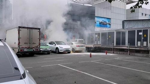 爆料海豚自燃视频播放下载,海豚自燃视频引发热议,真相令人震惊! 第2张 爆料海豚自燃视频播放下载,海豚自燃视频引发热议,真相令人震惊! 第2张